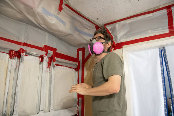Best Environmental Consulting for Mold Prevention  in Paloma Creek, TX
